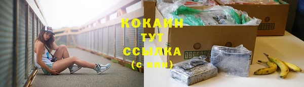 тгк Богданович