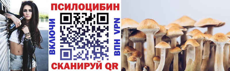 Псилоцибиновые грибы мицелий  наркотики  Богородицк 