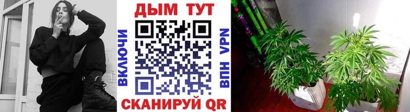 Конопля марихуана  гидра вход  Богородицк  что такое  